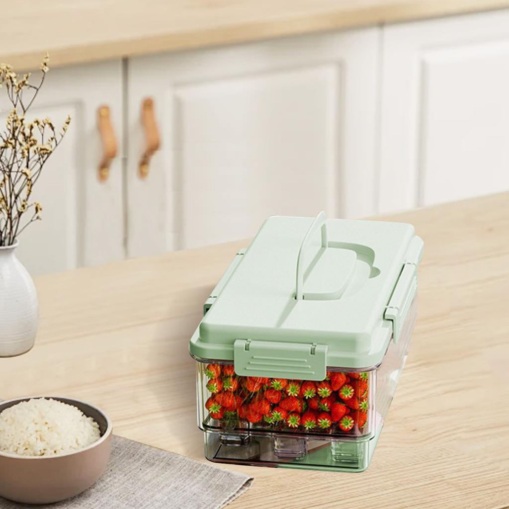 Portable Snack Box Container With Ice Pack, 4 Large Compartment Refrigerated Travel Tray With Lid For Outdoor Parties, Picnics