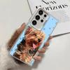 Yorkshire Terrier Dog Soft Phone Case for Samsung Galaxy S24 S25 FE S26 Edge S23 Ultra S22 Plus S21 + Shockproof Cover Back Shel