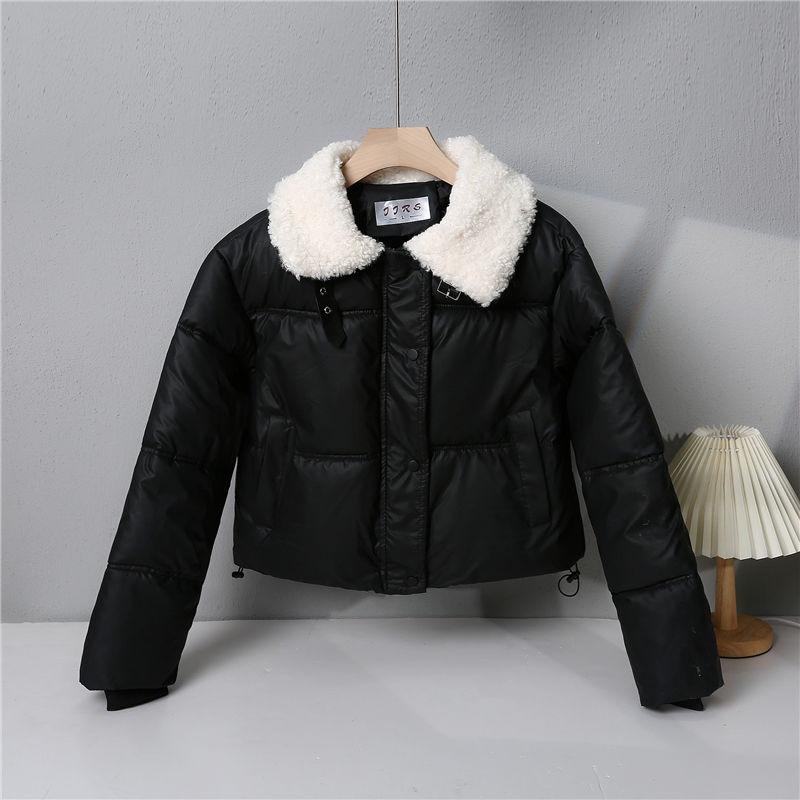 Short Style Small Lamb Wool Bread Coat Women's Winter New Casual Loose Cotton Coat Cotton Jacket
