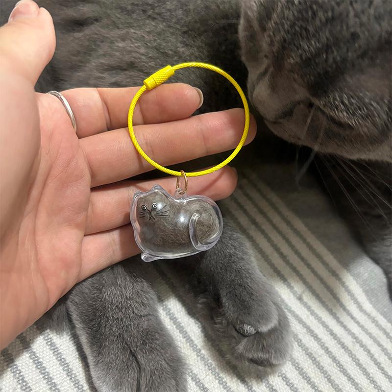 1/3/6 Buc. Capsulă Transparentă pentru Păstrarea Suvenirurilor Animalului de Companie, Puf Drăguț de Animal de Companie pentru Pisică, Breloc, Pandantiv, Cutie Suvenir, Sticlă Comemorativă