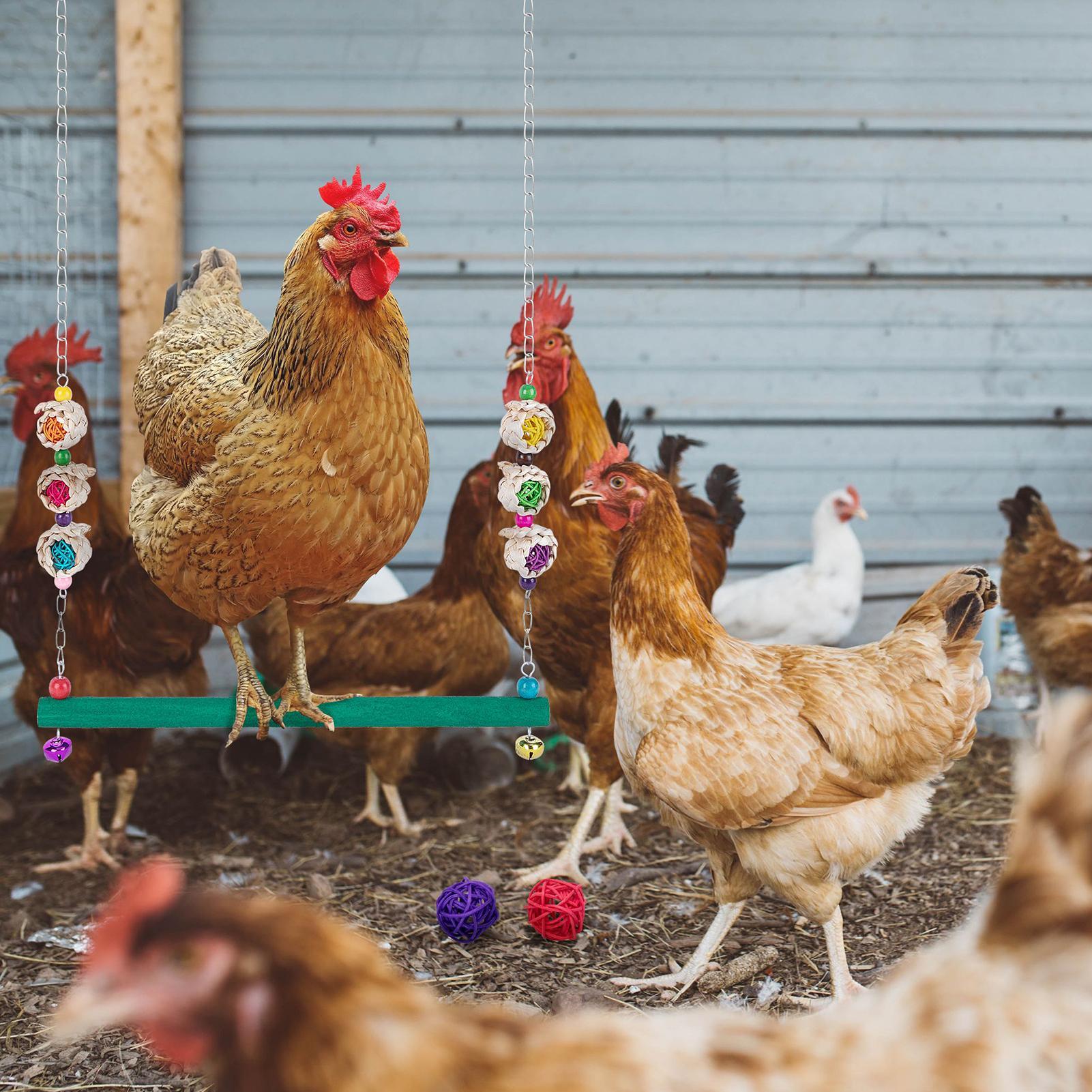 

Куриные качели с колокольчиком Куриные игрушки для курятника с 2 ротанговыми шариками Игрушка для попугая Деревянные качели для зяблика Попугая Домашней птицы Кореллы CHINA
