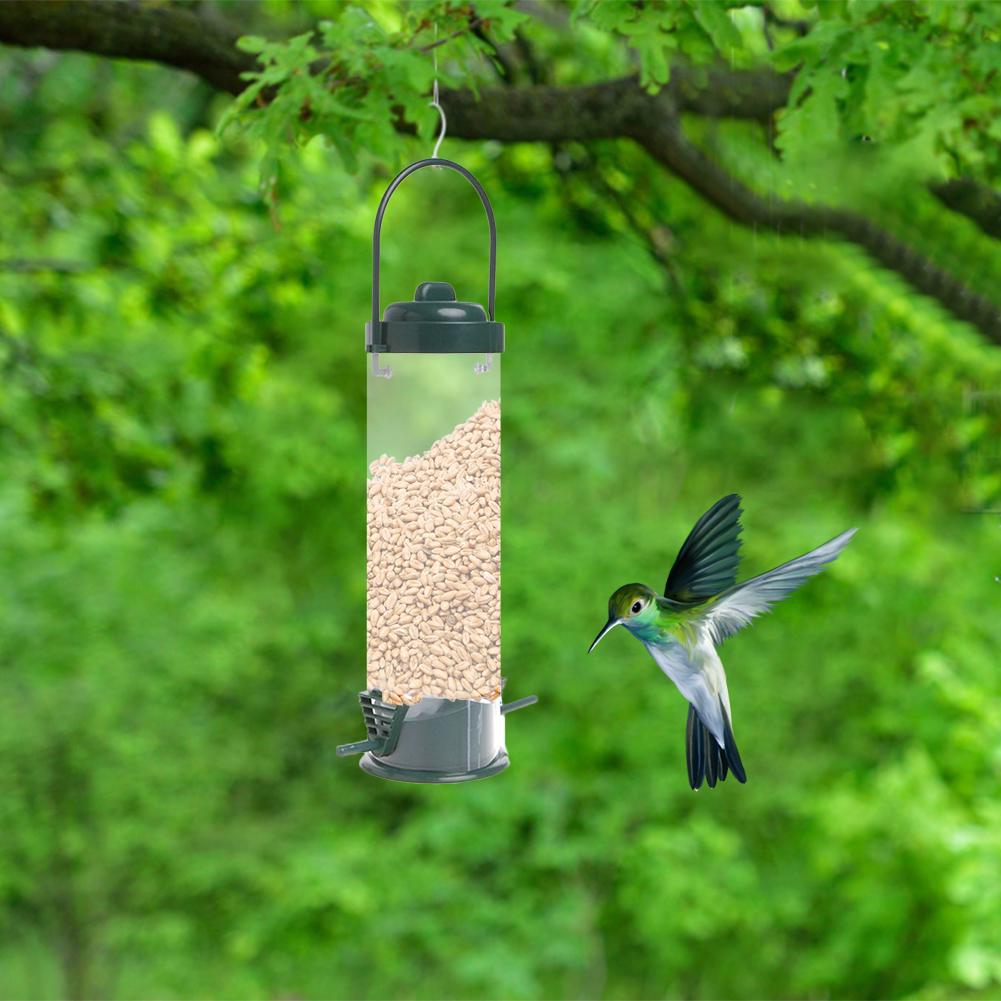 automatic wild bird feeder