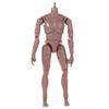1/6 Doll Male Action Figure Solid Doll 1/6 Male Model Doll  Sketching Art Works