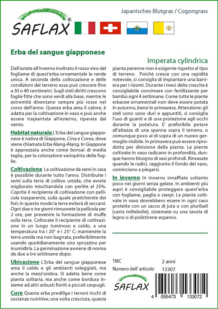 SAFLAX Garden in the Bag - Cogongrass - 50 semen - Se substrátem v padnoucím sáčku - Imperata cylindrica