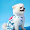 1pc Pink Bowknot Dress Spring/Summer Pet Clothes for Small Dogs and Cats Christmas for Holiday Gift Giving
