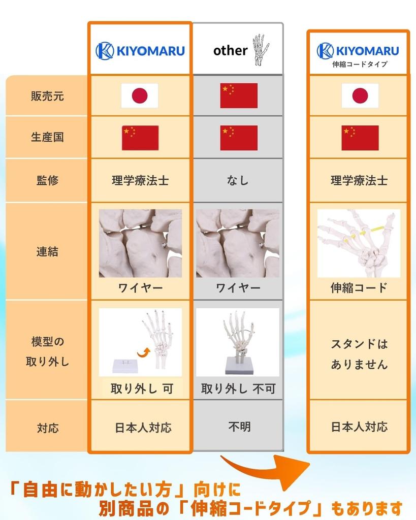 KIYOMARU Wrist Joint Model, Human Body Model, Bone Model, PT Supervised, Skeleton Specimen, Removable from Support, Right Hand, Life-Size