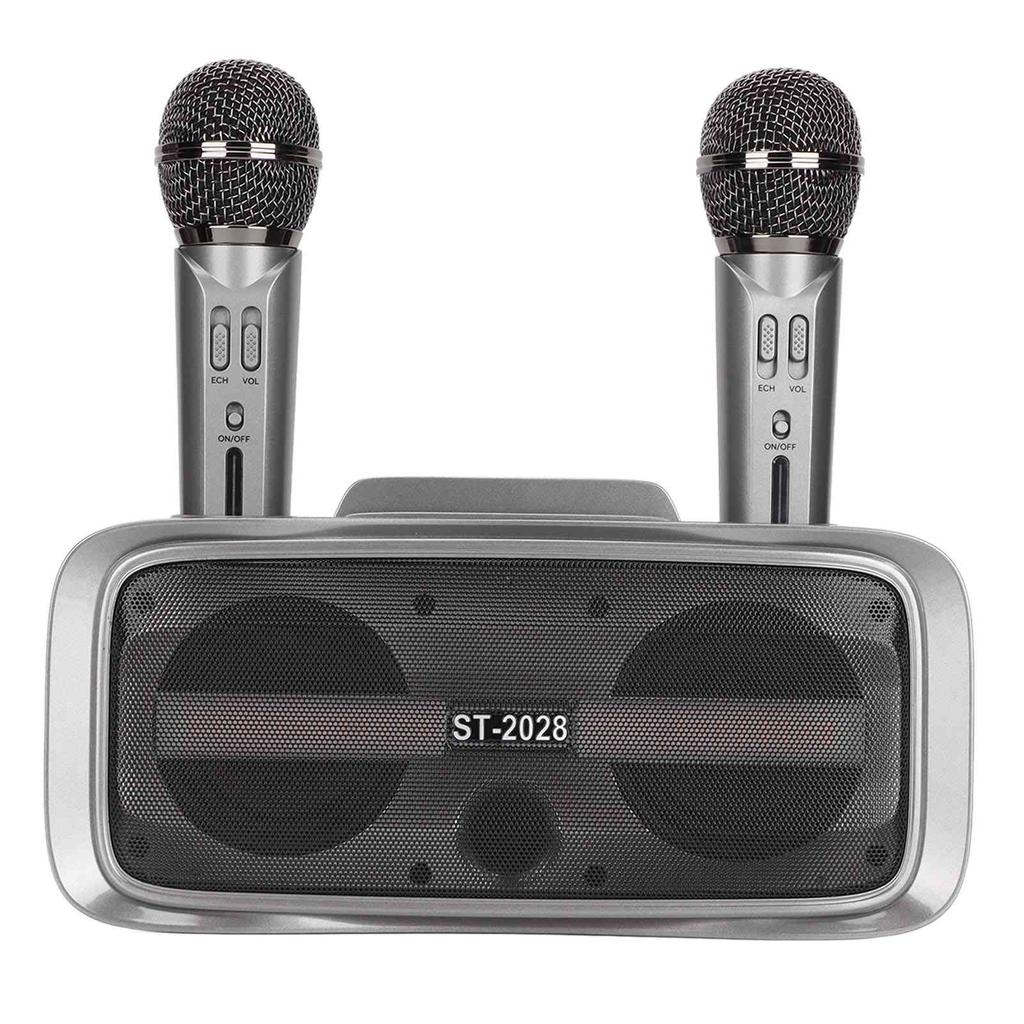 ST‑2028 Tragbares Karaoke-Lautsprechersystem Bluetooth-Karaoke-Maschine mit 2 Mikrofonen für Hochzeitsfeier
