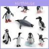 Penguin Model Pvc Collectible Figurine For Wildlife Enthusiasts
