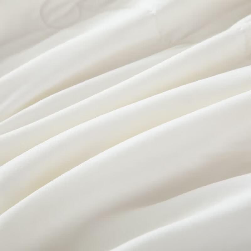 Faunen Household Class A Cloud Soft Cotton Quilt