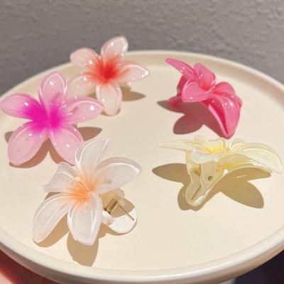 Accessori per capelli – Fermagli per capelli