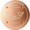 New Arrival Copper Bird Bath Cleaner Disk