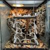 Natural Reptile Weaving Climbing Net Linen-cotton Bird Climbing Frame  Climbing Pet Animals