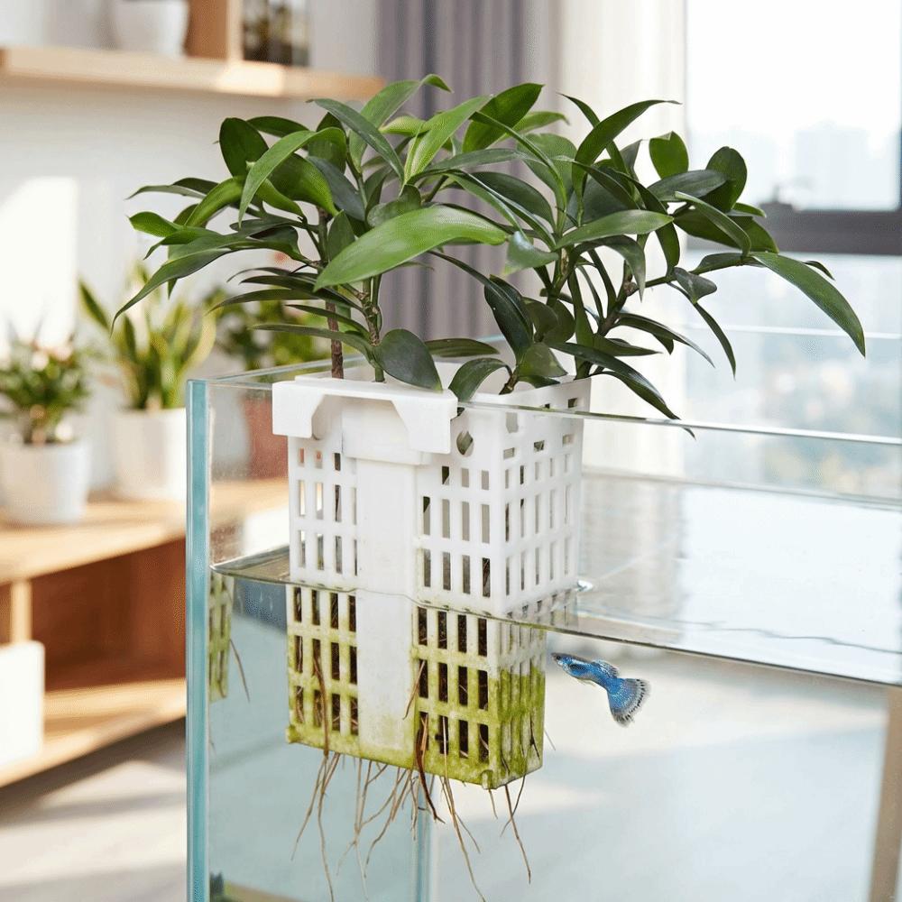 Uitschuifbare Haak Waterplantenhouder Veelzijdig Plantenkweekrek Plantenkweek