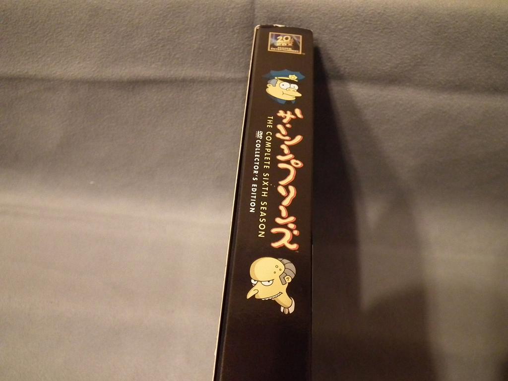 The Simpsons Season 6 DVD Box Collector's