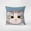 Cute Cartoon Cat Pillow Case For Dorm Bedroom Living Room Sofa Home Decor Cushion Cover