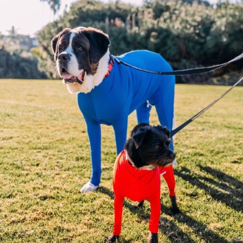 Medium and Large-sized Cat All-inclusive Dog Four-legged Autumn and Winter ClothingPet Clothing Cat Stretch Base Layer Shirt