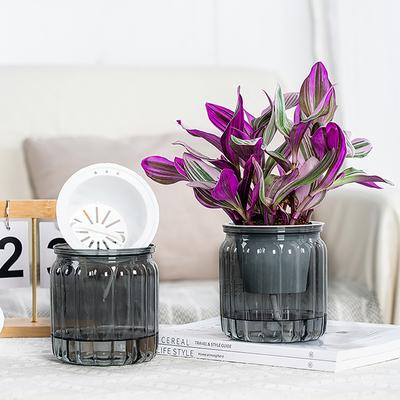 Runda Självvattnande Blomkrukor Hydroponics Växtkruka Vas Självabsorberande Vattenplanterare För Hem Bonsai Inomhus Bordsdekoration