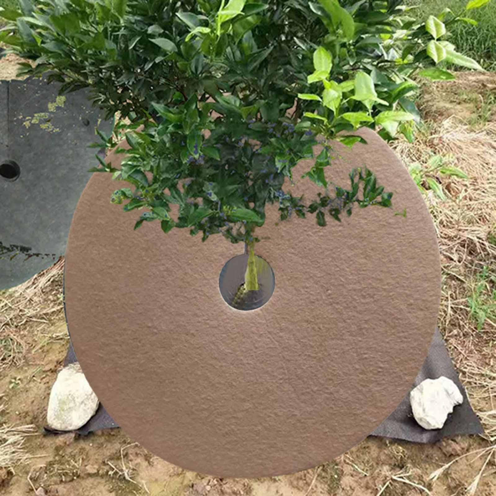 

10 Control Mats for Fruit Trees, , Mulch Rings Brown 32cm