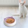Dog Bowl Water Porcelain Pet for Puppy Supplies Food and Blue