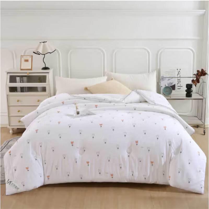 

Youmengjiaju Soft Cloud-Feel Winter Quilt