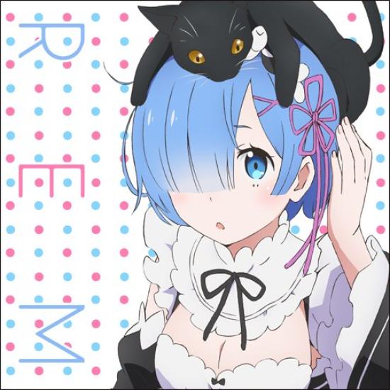 

Чехол для подушки Life in Another Rem ReZERO -Starting World-