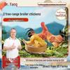 Dr. Yang's Premium Young Chicken
