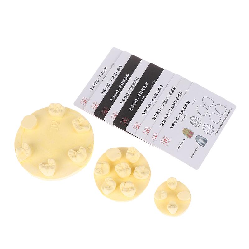Dental Inlay Exercise Model Block Filling Exercise Plaster/Resin Materials Oral Filling Model For Dentistry Teaching Study