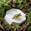 With Ramp Turtle Bath Basin Plastic Reptile Pool Dish Turtle Bath Tub  Habitat Accessories