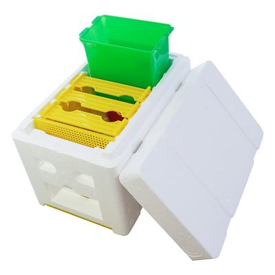 New Upgraded 3-Frame Plastic Foam Mini Queen Rearing Beehive for Beekeeping