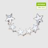 Silver Star Chain Gibbets Charm 10017426