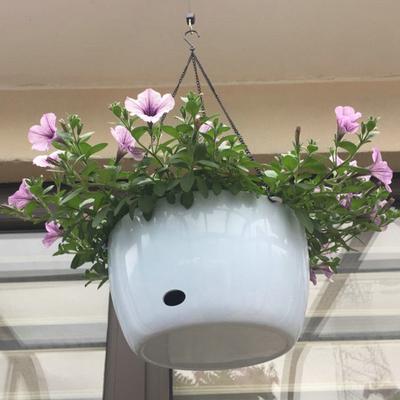 Hängender Blumentopf mit seitlichen Wassergießlöchern Rostschutzbeschichtung