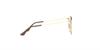 Glasses 0RX6378F BROWN Japan Size 51 2905 Asian Fit Full Rim Ray-Ban GOLD/SHINY (Free Size)