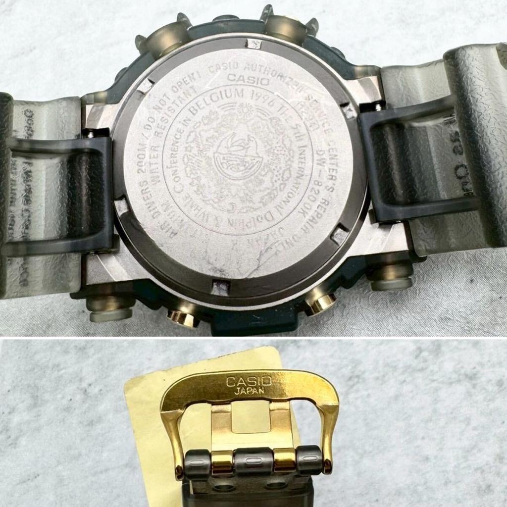 CASIO FROGMAN 5th Dolphin and Whale Conference Dolphin and Whale Watch / G-SHOCK DW-8200K-8