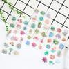 6Sheets/Pack Kawaii Succulent Plants Decoration Scrapbooking Stickers Transparent PVC Stationery Diary Stickers