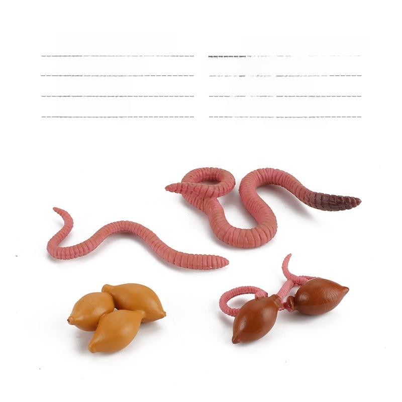 Allomyrina Dichotoma Model Pvc Realistic Display Scene For Science Education And Collectors