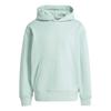 Mens Essentials Loose Fit Hoodie