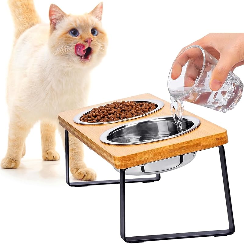 Elevated Cat Bowls, Raised Cat Bowl with 32 oz Stainless Steel Food Bowls Non-Slip Feeder for Cats and Puppy, 15° Tilted Raised Pet Dishes, Indoor Puppy and Cat