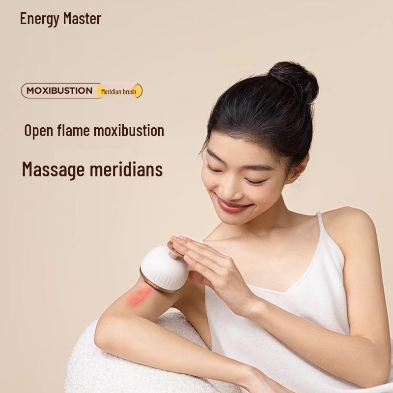 Vitality Master Meridian Brush Set