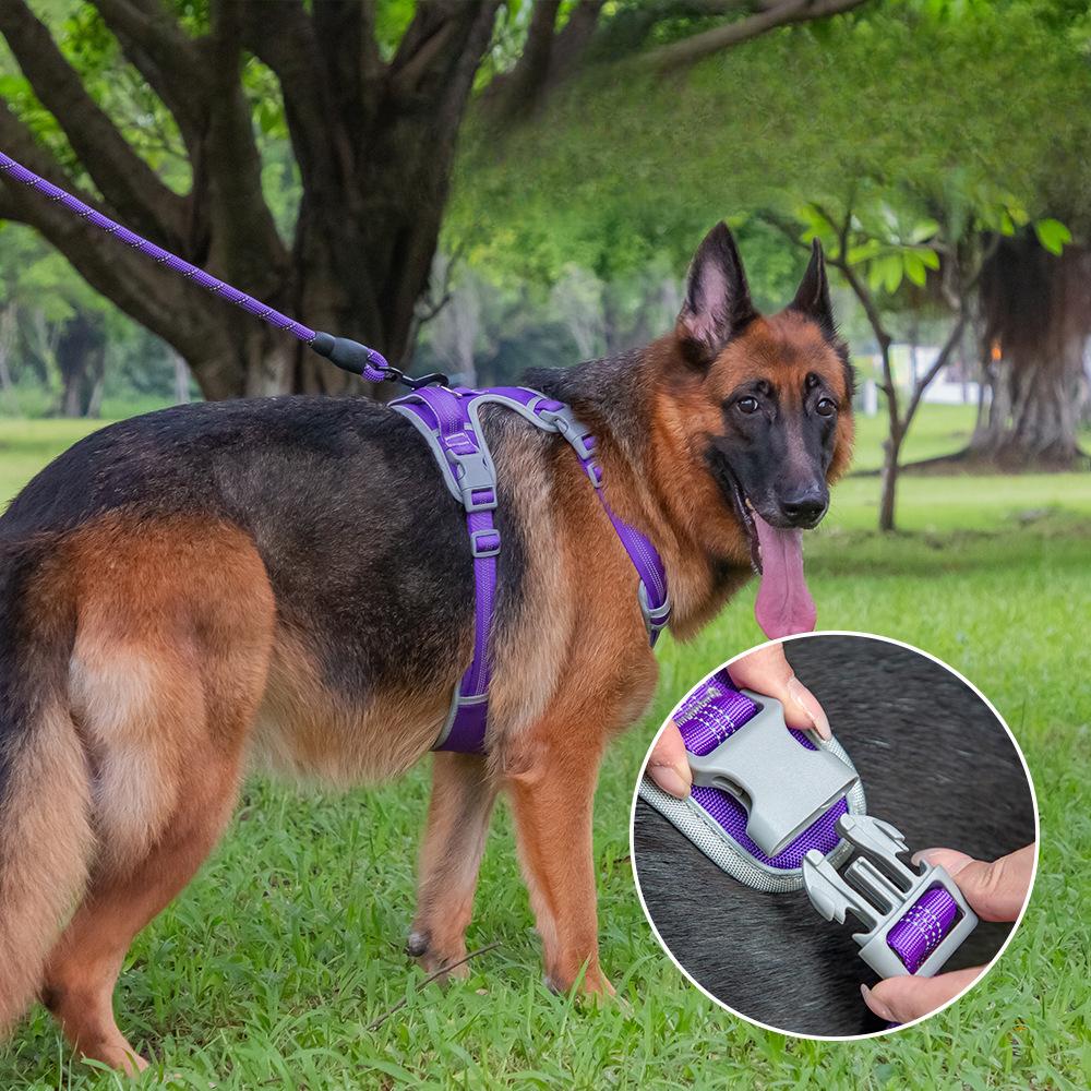 Dog Chest Straps Go Out Large Medium and Small Dog Vest Type Pet Chest Back Puppy Corgi Shiba Inu Traction Rope