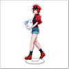 16CM Anime Cells At Work Cosplay Acrylic Stand Ornaments Macrophages Platelet Red Blood Cell Leukocyte Figure Stand Gifts