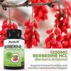 Berberinhydrochlorid 1200 mg, enthaltend Bio Ceylon-Zimt - 120 Kapseln