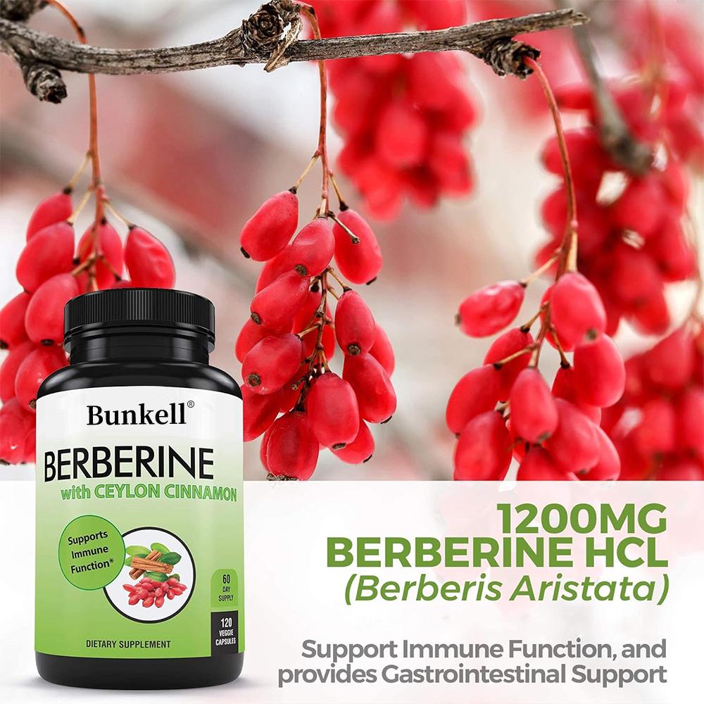 Berberinhydrochlorid 1200 mg, enthaltend Bio Ceylon-Zimt - 120 Kapseln