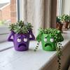 Humorous Face Funny Face Succulent Planter Quirky Face Desktop Flower Pot  Gardening Gift