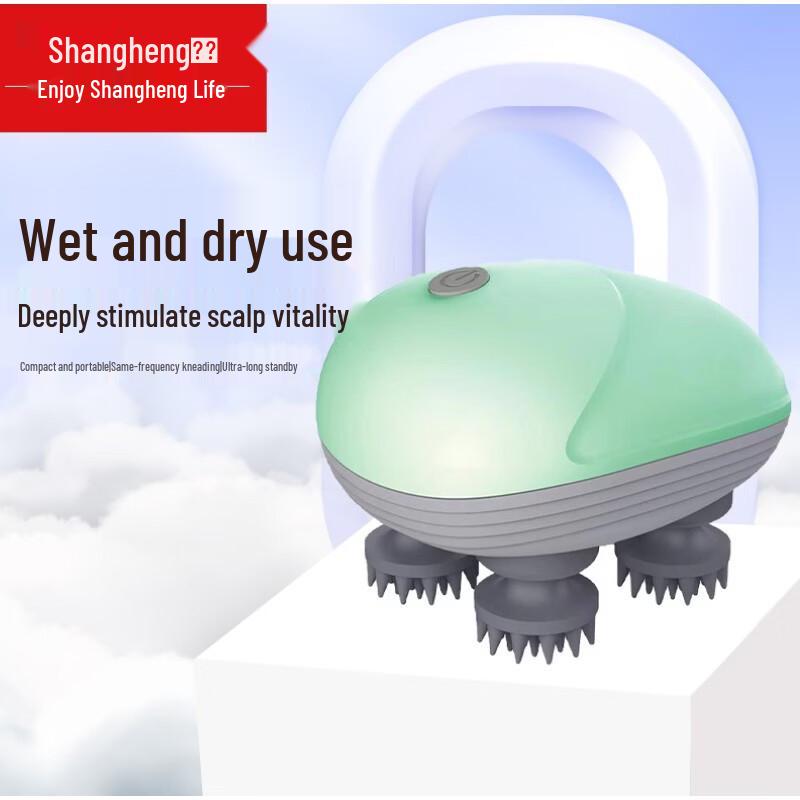 Shangheng Electric Head Massager