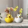 Cute Succulent Plant Flowerpot Handicraft Hydroponic Flower Holder  Dried Flower