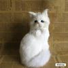Подарок ребенку, милая плюшевая игрушка, имитация куклы кошки, детская игрушка, модель котенка, поддельная кошка, автомобильные украшения, подарочные игрушки, кукла-животное