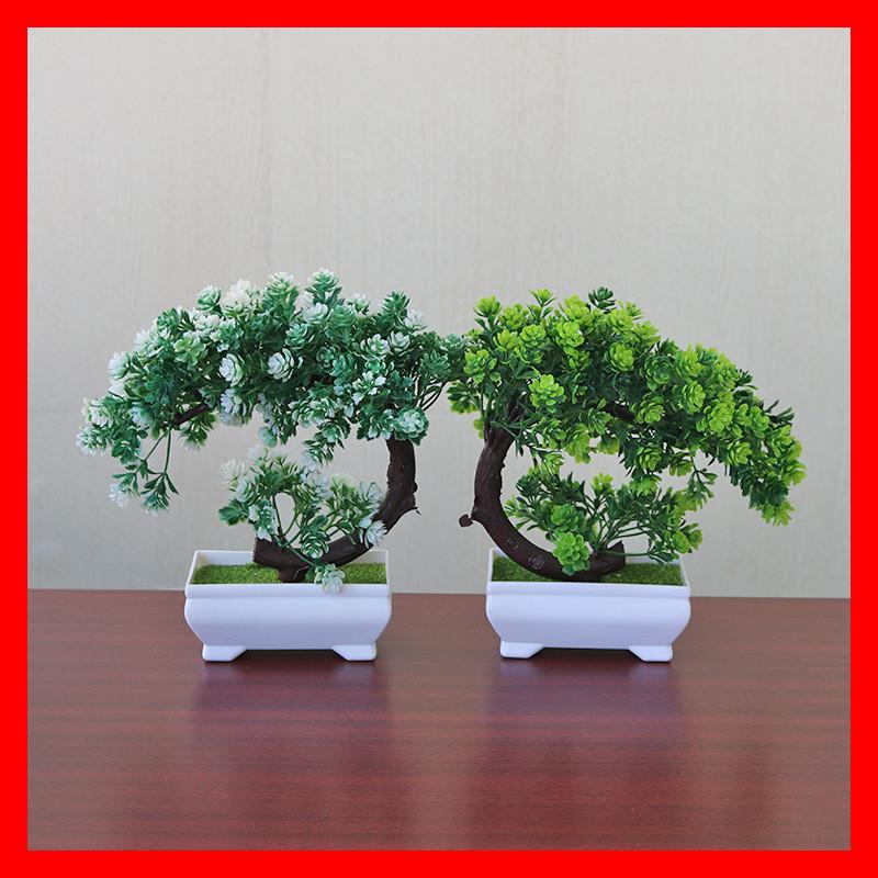Plastic Bonsai Terrarium With Creative Design For Indoor Garden Display