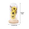 Preserved Flower Glass Dome Artificial Simulation Sunflower with LED Light for Valentine"s Day