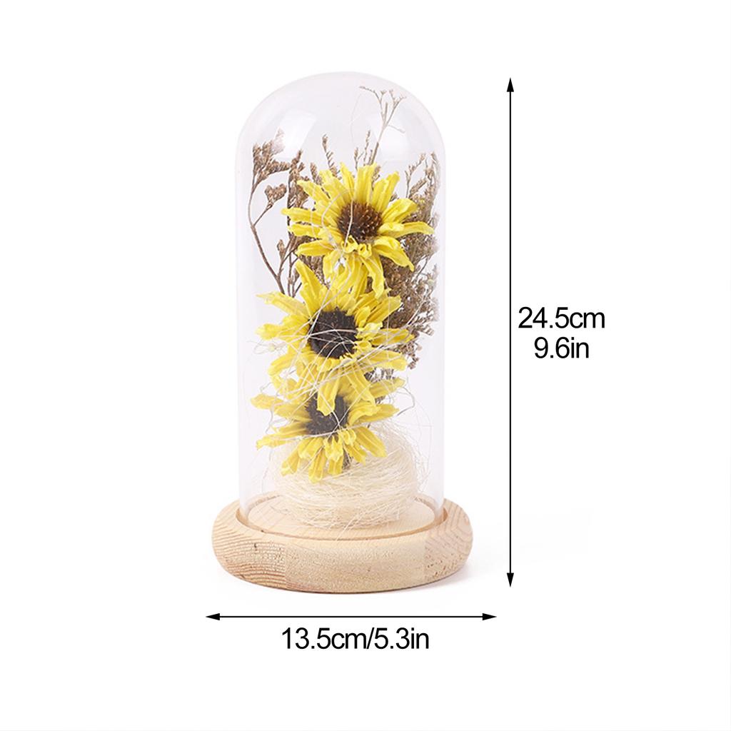 Preserved Flower Glass Dome Artificial Simulation Sunflower with LED Light for Valentine"s Day