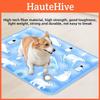 Hunde-Eis-Kühlmatte PVC-Wasser-Eis-Pad für den Sommer Haustiere Kühl und hydriert halten